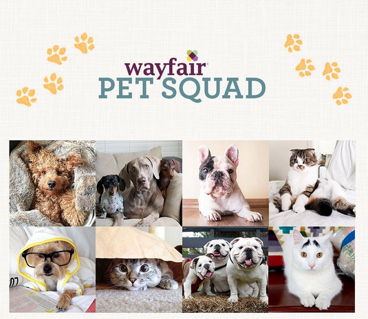 wayfair-pet-squad