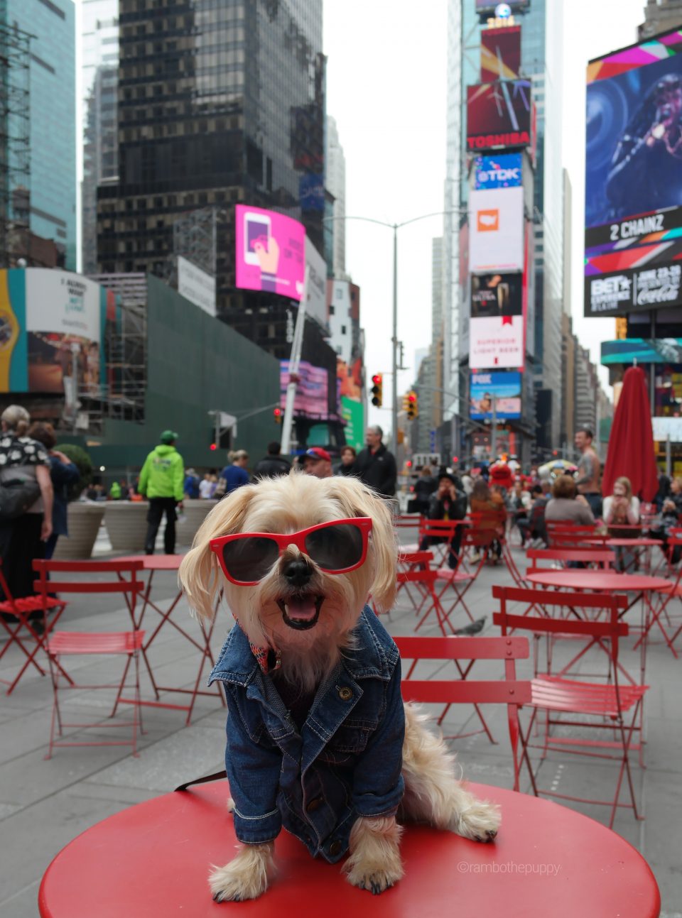 times-square-nyc