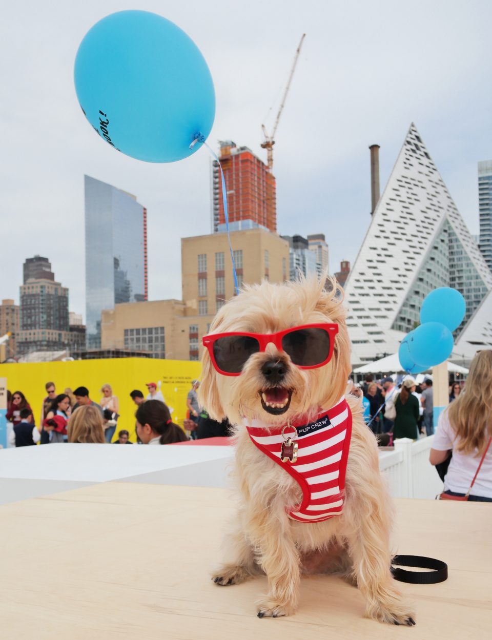 barkfest-nyc