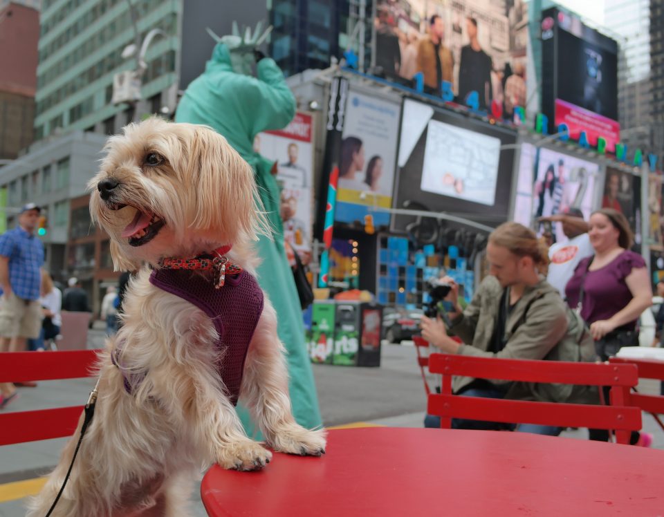 times-square