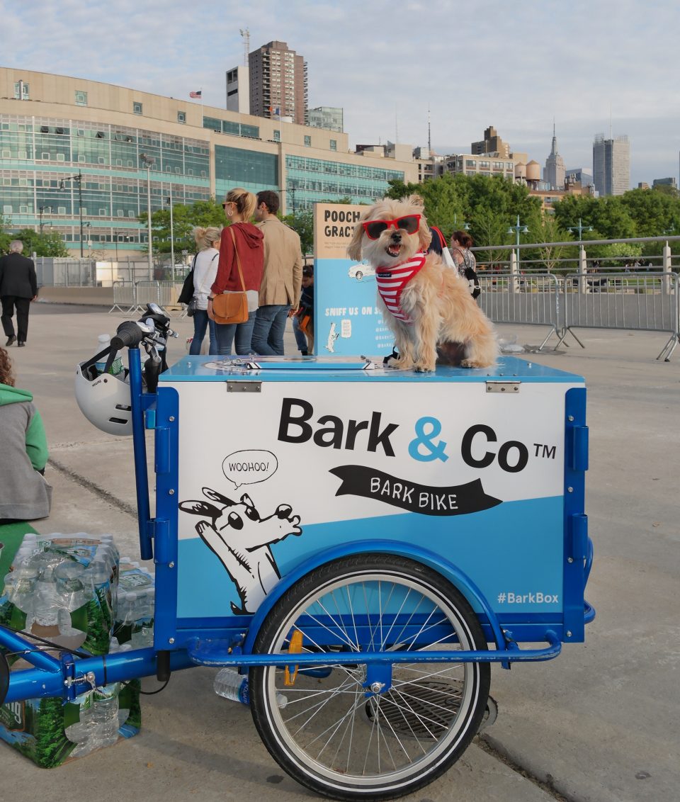 barkfest-nyc-3