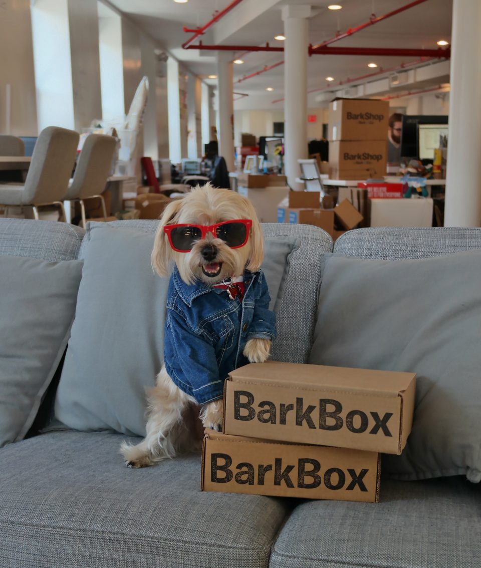 barkbox-hq