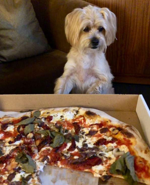 pet-friendly-nyc-pizza