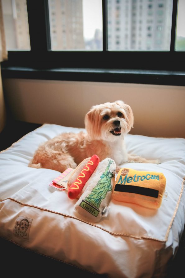 pet-friendly-nyc-viceroy-13
