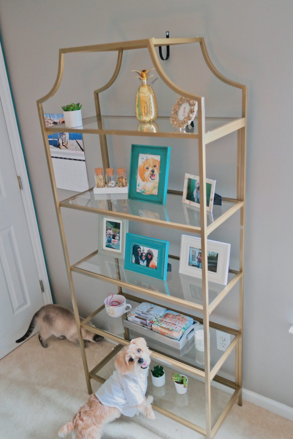 home-office-decor-gold-shelves
