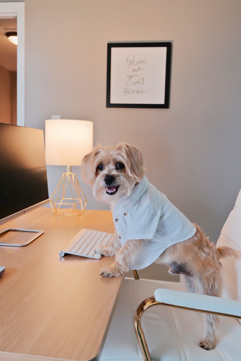 flexispot-standing-desk